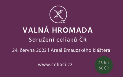 Valná hromada SCČR 2023